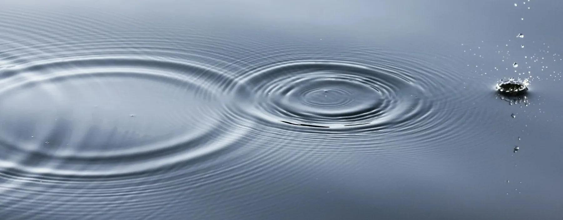 Ripples on a smooth body of water caused by a stone being dropped in it